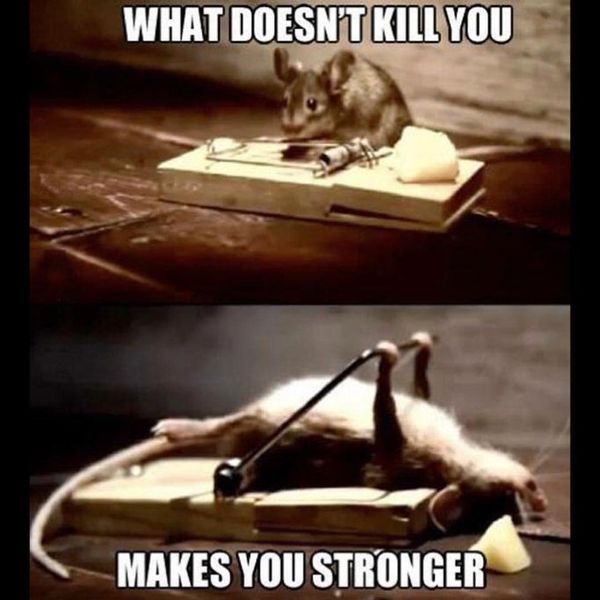16-What-Does-Not-Kill-You-Motivational-Meme